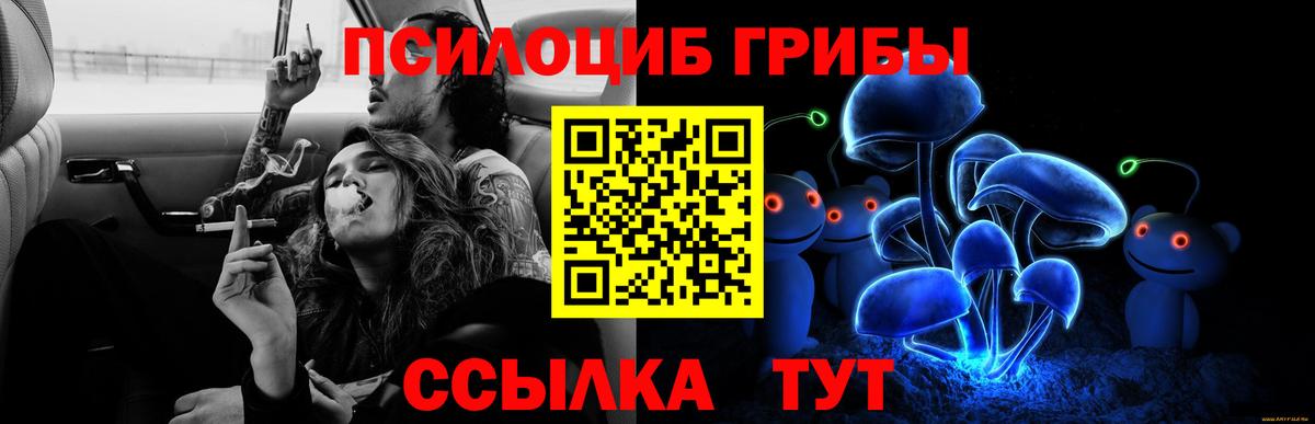 Галлюциногенные грибы ЛСД  Вход с VPN  Новоуральск 
